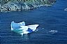 4490: Iceberg, Gulf of St. Lawrence, Canada 4490: Iceberg, Gulf of St. Lawrence, Canada