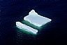 4491: Iceberg, 4491: Iceberg,