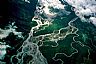 4501: Braided Stream, Denali National Park, Alaska 4501: Braided Stream, Denali National Park, Alaska