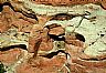 4598: Wedding Ring Arch, Canyonlands National Park, Utah 4598: Wedding Ring Arch, Canyonlands National Park, Utah