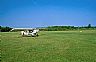 4628: Woolsey Field, Leelaneau County, Michigan 4628: Woolsey Field, Leelaneau County, Michigan