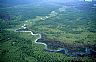 4723: Forest Burn, 4723: Forest Burn,