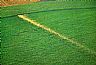 4728: Crop Irrigation Sprinkler, Weld County, Colorado 4728: Crop Irrigation Sprinkler, Weld County, Colorado