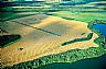 4735: Wheat Harvest, Tadmore, Saskatchewan 4735: Wheat Harvest, Tadmore, Saskatchewan