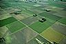 4773: Midwest Farms, Clay County, South Dakota 4773: Midwest Farms, Clay County, South Dakota