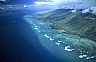 4822: Coral Reefs, Maui, Hawaii 4822: Coral Reefs, Maui, Hawaii