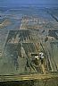 4865: Flooded Farmland, Cross County, Arkansas 4865: Flooded Farmland, Cross County, Arkansas