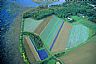 4886: Flower Farm, Sagadanoc County, Maine 4886: Flower Farm, Sagadanoc County, Maine