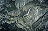 4962: Yosemite Falls, Yosemite National Park, California 4962: Yosemite Falls, Yosemite National Park, California