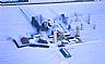 5226: Dairy Farm in Winter, Near Stratford, Ontario 5226: Dairy Farm in Winter, Near Stratford, Ontario