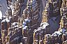 5246: Bryce Canyon (snow), Bryce Canyon National Park, Utah 5246: Bryce Canyon (snow), Bryce Canyon National Park, Utah