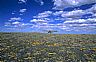 5295: That Close to Heaven, Great Basin Desert, Wyoming 5295: That Close to Heaven, Great Basin Desert, Wyoming