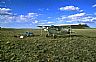 5303: Husky Camping @ Burnt Ranch, Great Basin Desert, Wyoming 5303: Husky Camping @ Burnt Ranch, Great Basin Desert, Wyoming