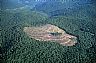 5445: Small Clear Cut, South of Elkins 5445: Small Clear Cut, South of Elkins