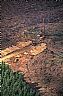 5460: Logging, Callam County, Washington 5460: Logging, Callam County, Washington