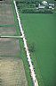 5466: Farm Auction, Fillmore County, Minnesota 5466: Farm Auction, Fillmore County, Minnesota