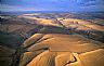5472: Wheat Fields, Sherman County, Oregon 5472: Wheat Fields, Sherman County, Oregon