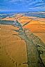 5473: Wheat Fields, Sherman County, Oregon 5473: Wheat Fields, Sherman County, Oregon