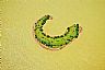 5740: Slug Island, Rio Grande Valley, Texas 5740: Slug Island, Rio Grande Valley, Texas