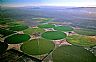 5801: Irrigation Circles, Near Beryl, Utah 5801: Irrigation Circles, Near Beryl, Utah