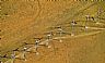 5929: Wind Farm, Altamont Pass, California 5929: Wind Farm, Altamont Pass, California
