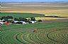 6478: Kansas Farm, Bucklin, Kansas 6478: Kansas Farm, Bucklin, Kansas