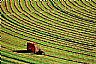 6483: Baling Hay, Bucklin, Kansas 6483: Baling Hay, Bucklin, Kansas