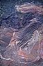 6562: San Manuel Copper Mine, San Manuel, Arizona 6562: San Manuel Copper Mine, San Manuel, Arizona