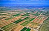 6570: Irrigated Fields, Grand Valley, Arizona 6570: Irrigated Fields, Grand Valley, Arizona