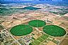 6571: Irrigation Circles, Near Chandler, Arizona 6571: Irrigation Circles, Near Chandler, Arizona