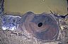 6590: Zuni Salt Lake, Catron County, New Mexico 6590: Zuni Salt Lake, Catron County, New Mexico