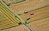 6800: Harvest, Southeast of Prescott, Wisconsin 6800: Harvest, Southeast of Prescott, Wisconsin