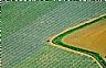 6845: Bliss Field, Lenawee County, Michigan 6845: Bliss Field, Lenawee County, Michigan