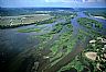 6958: Mississippi River Wetlands, South of Wabasha, Minnesota 6958: Mississippi River Wetlands, South of Wabasha, Minnesota