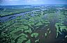 6962: Mississippi River Wetlands, South of La Crosse, Wisconsin 6962: Mississippi River Wetlands, South of La Crosse, Wisconsin