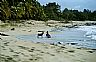7056: Nude Woman & Dog at Beach, St, Maarten, Netherlands Antilles 7056: Nude Woman & Dog at Beach, St, Maarten, Netherlands Antilles