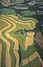 5230: Maryland Farmland, Carol County, Maryland 5230: Maryland Farmland, Carol County, Maryland