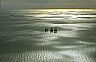 7502: Off-Shore Oil Platforms, Gulf of Mexico