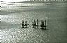 7503: Off-Shore Oil Drilling, Gulf of Mexico