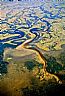 7982: Apalachee Bay Wetlands, Taylor County, Florida 7982: Apalachee Bay Wetlands, Taylor County, Florida