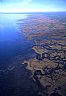 7984: Apalachee Bay Wetlands, Taylor County, Florida 7984: Apalachee Bay Wetlands, Taylor County, Florida