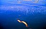 7989: Apalachee Bay Shoals, Wakulla County, Florida 7989: Apalachee Bay Shoals, Wakulla County, Florida
