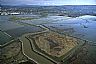 8204: San Francisco Bay NWR, Hayward, California 8204: San Francisco Bay NWR, Hayward, California
