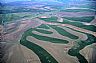 8370: Palouse Fields, Route 26, Whitman County, Washington 8370: Palouse Fields, Route 26, Whitman County, Washington