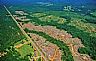 8690: Timber Cuts, Route 10, Marengo County, Alabama 8690: Timber Cuts, Route 10, Marengo County, Alabama