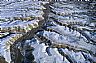 9596: Colorado Plateau, Grand County, Utah 9596: Colorado Plateau, Grand County, Utah