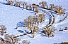9790: Gageby Creek Snow, Bent County, Colorado 9790: Gageby Creek Snow, Bent County, Colorado