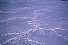 9800: Frijole Creek, Western Las Animas County, Colorado 9800: Frijole Creek, Western Las Animas County, Colorado