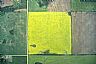9842: Canola Field, Near Claresholm, Alberta 9842: Canola Field, Near Claresholm, Alberta