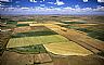 10296: South Dakota Farmland, Butte County, South Dakota 10296: South Dakota Farmland, Butte County, South Dakota